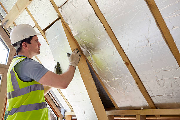 Best Insulation Maintenance and Repair in Escobares, TX