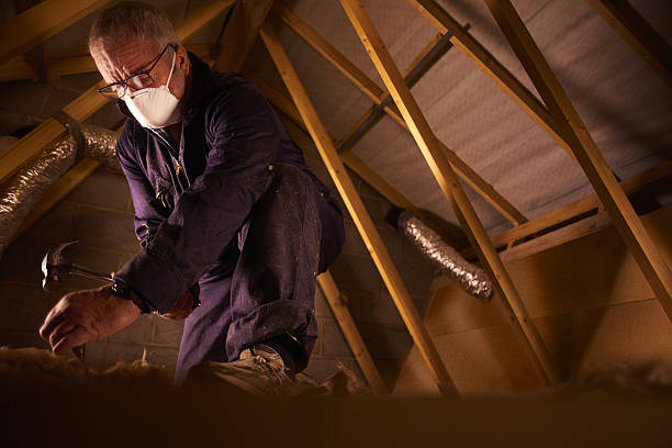 Best Residential Insulation in Escobares, TX