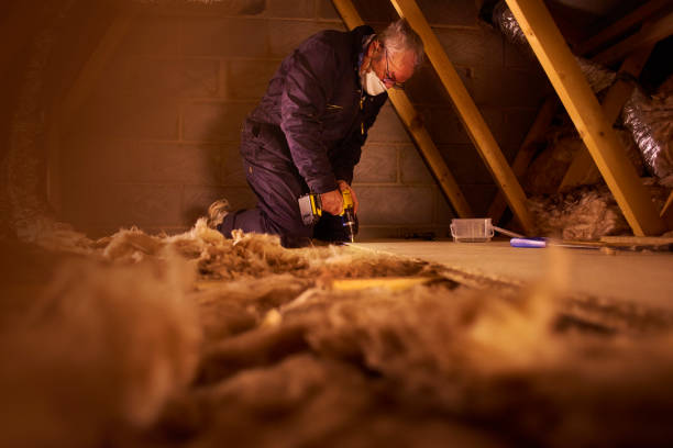 Best Types of Insulation in Escobares, TX